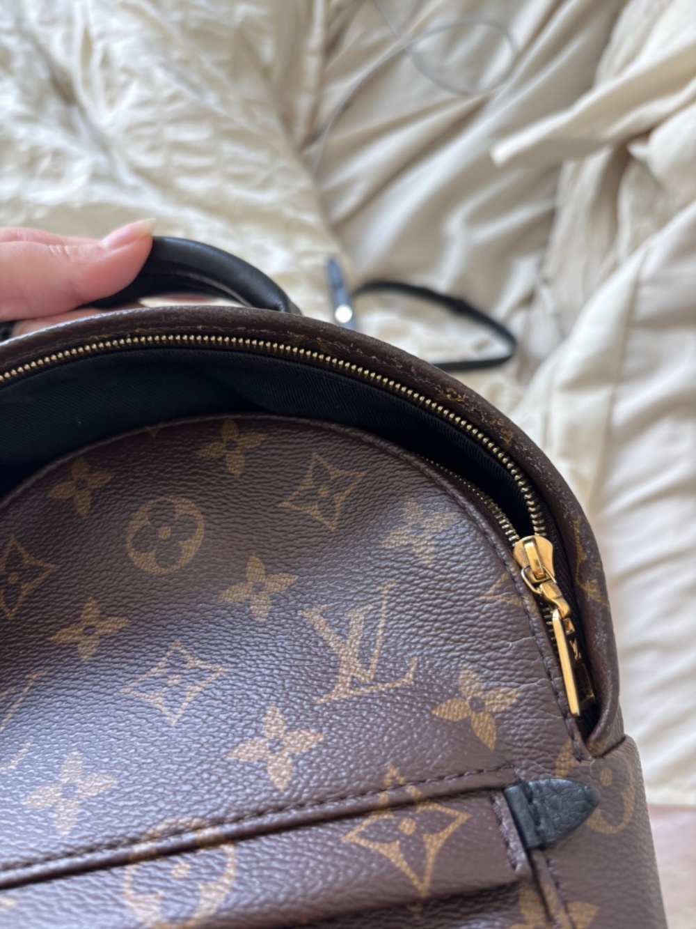 LV Palm Spring Mini - Picture 11 of 12